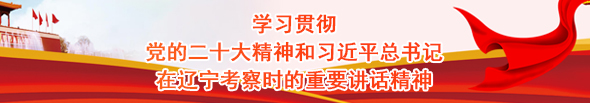 学习贯彻党的二十大精神和av片
总书记在辽宁考察时的重要讲话精神
