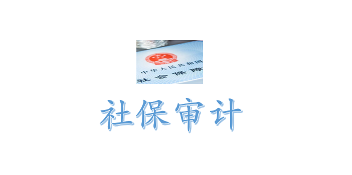 社保审计